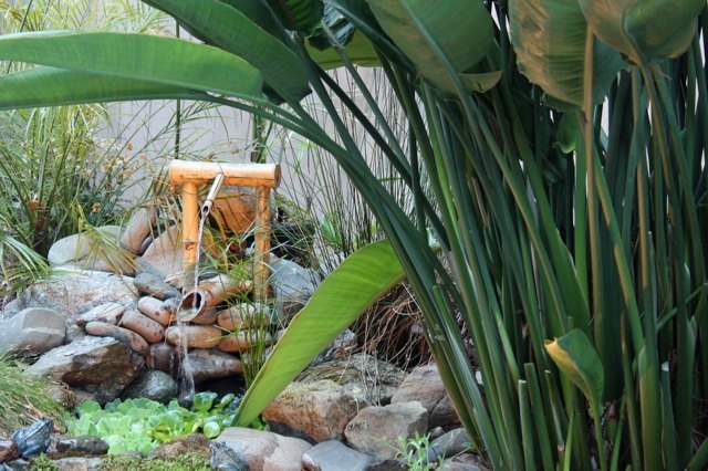 Brunnen Bambusrohren Stein Teich anlegen Seerose