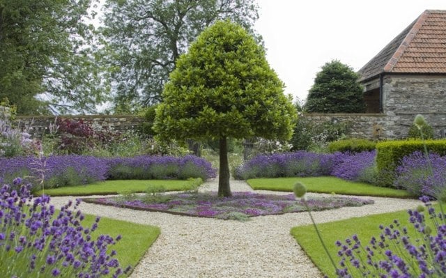 Ideen Kies Gartenweg Baum Lavendel englischer Garten