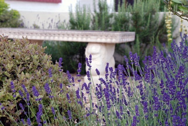 Stil Sitzbank Stein Lavendel lila schöne Farbe