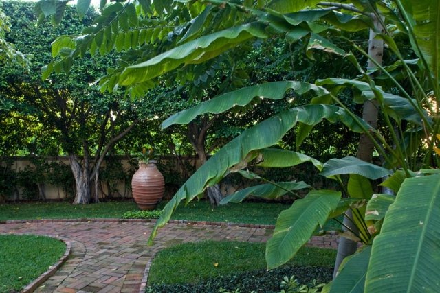 Gestaltung eines Gartens-im italienischen-Stil hecke Tropische-Pflanzenarten-palmen
