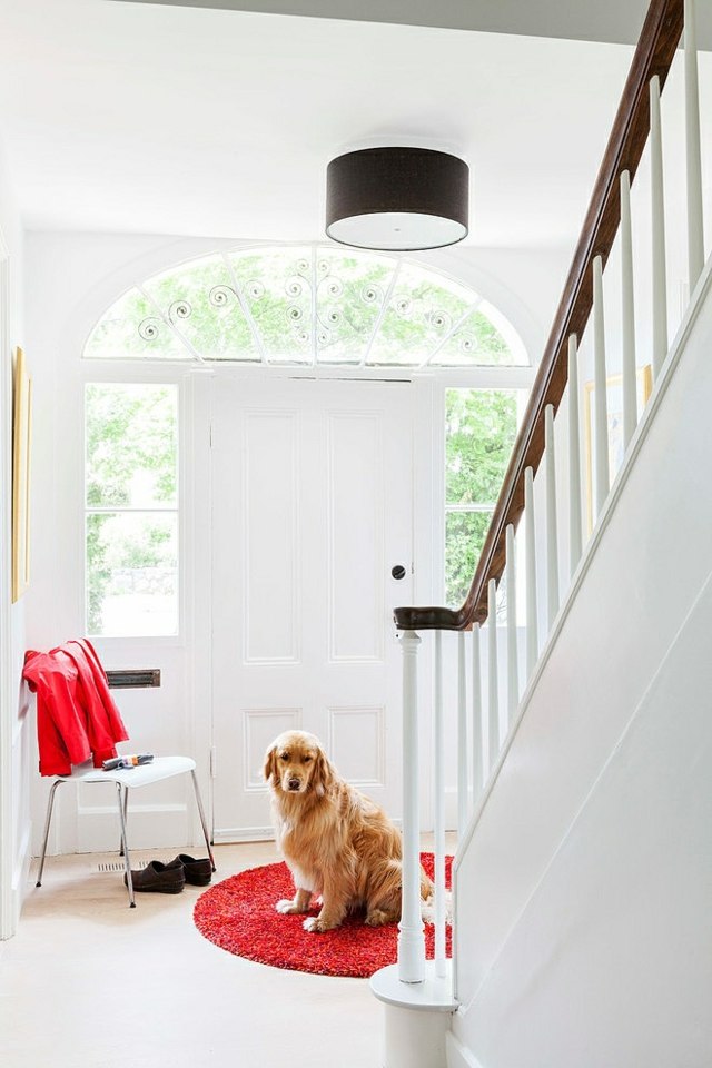  roter Läufer Hund Stuhl Treppenhaus Tür weiß Fenster