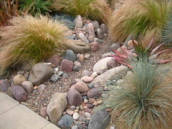dekorative gräsen steine verschiedene farben üppig aussehen