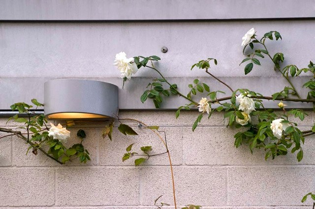Dachterrasse gestalten Ideen Sichtschutz Rosen weiße Blüten