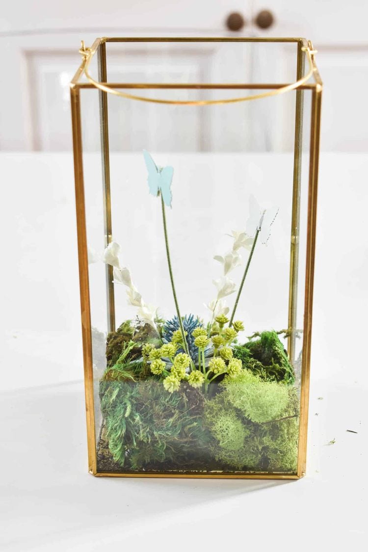 Moos im Glas Deko Ideen für Frühling mit Gräsern und Schmetterlinge aus Papier