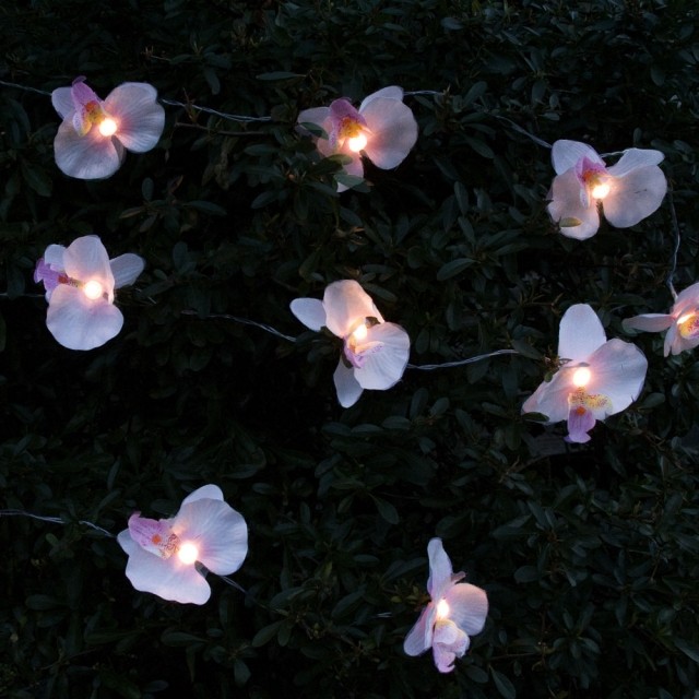 Orchidee Solar lichterkette-warm weißes licht im garten ideen