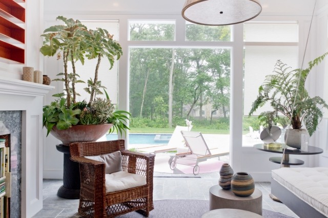 modern wohnbereich interieur bepflanzung gefässe design ideen