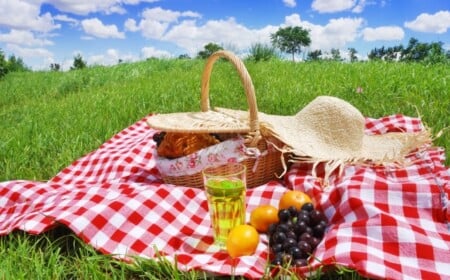 ideen für Zubehör-Picknickdecke-klassisch karriert rot-weiß