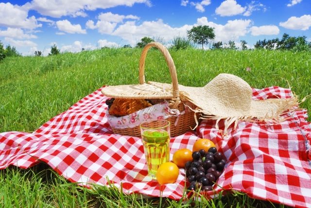 ideen für Zubehör-Picknickdecke-klassisch karriert rot-weiß