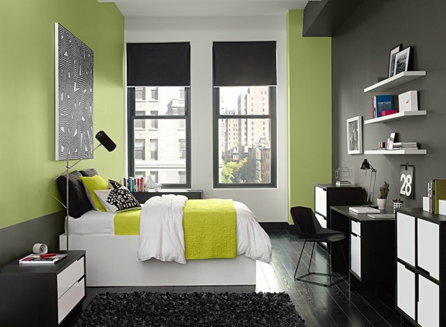 modern grüne Farbe Wand graue Akzentwand klein