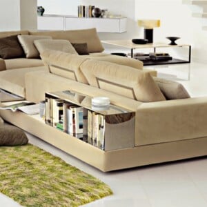 Sofa eingebaute Regale Polsterung grün Shaggy Teppich Beistelltisch