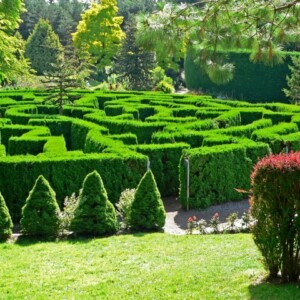 VanDusen-botanischer-garten-Irrgarten-selber-anlegen