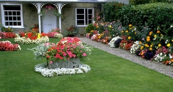 Vorgarten ideen gestaltung-mit pflanzen-Blumen Zierrasen pflegen tipps