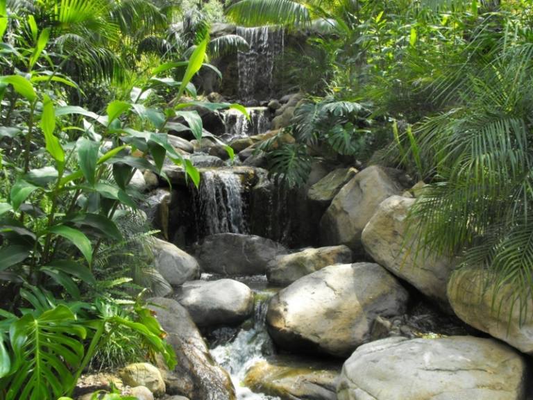 Wasserfall-Bachlauf-Traumgarten-exotisch-ueppig-gewachsen