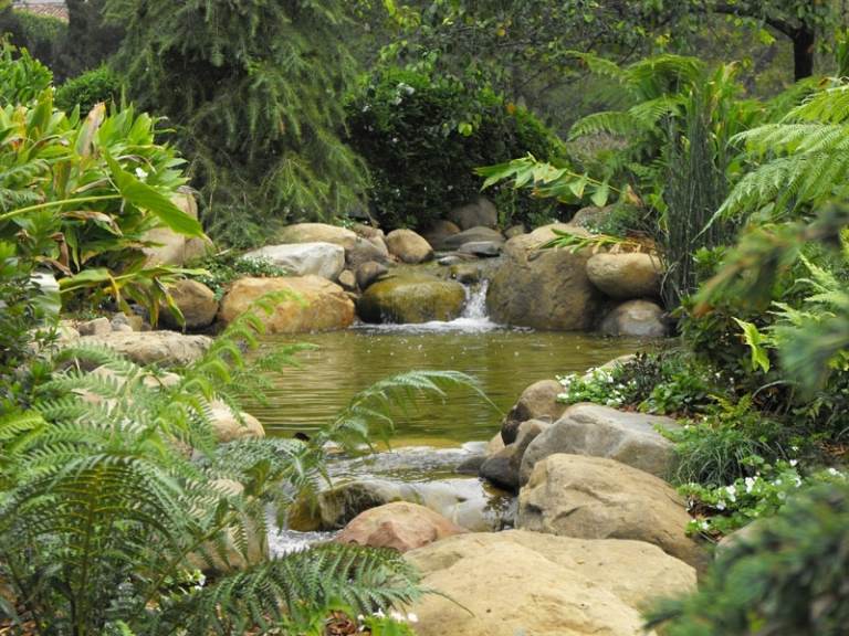 Wasserfall-Garten-lauschige-Pflanzen-Nadelbaume