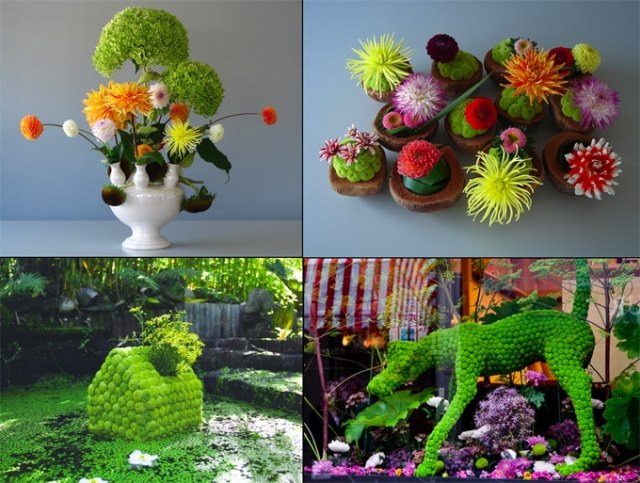 andreas verheijen Hybridpflanzen und Blumengestecke skulpturen florist ingenieur