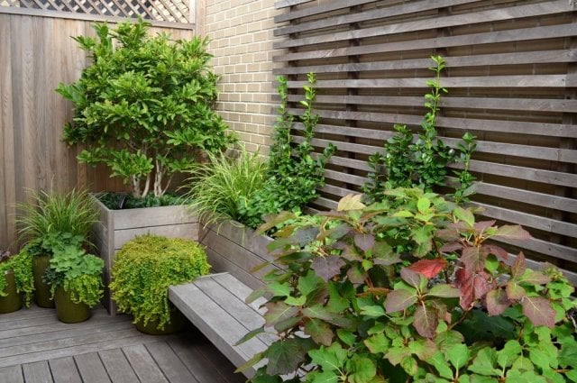 Abgrenzung-vor neugierigen Blicken-Gartenkübel Holz mit Pflanzen