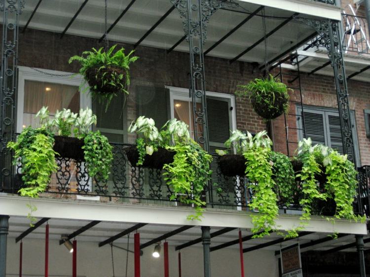 balkonpflanzen-je-nach-balkonausrichtung-gruen-haengepflanzen-blumenkaesten-gelaender-metall