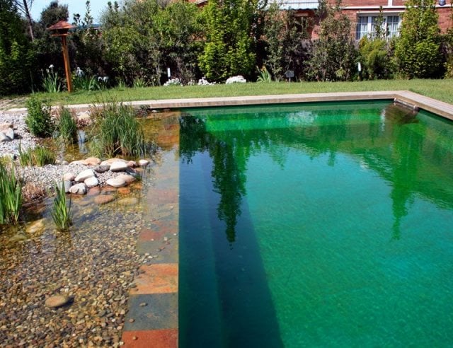 biologischer pool bauen Schwimmteich im Garten modern kies wasser