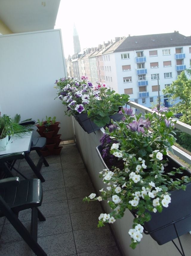 blumen balkonkasten pflanzen geländer petunien kunststoff balkonmöbel
