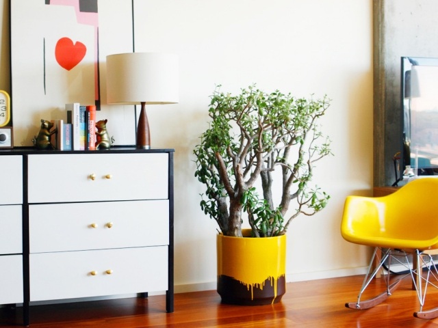 bonsai Baum-indoor Pflanzen-Farben gelb Designer Pflanzgefäße