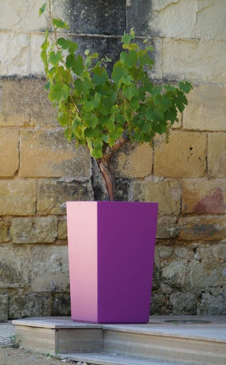 designer-pflanzkubel-faserzement-weinrebe-violett-farbe-rechteckig