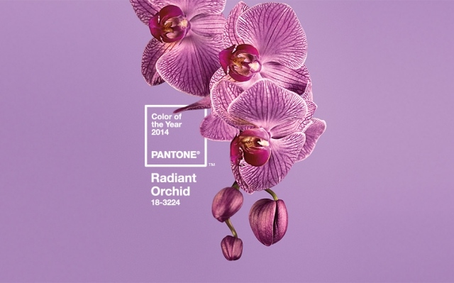farbe des jahres 2014 Designer-Möbel wohnung radiant orchid
