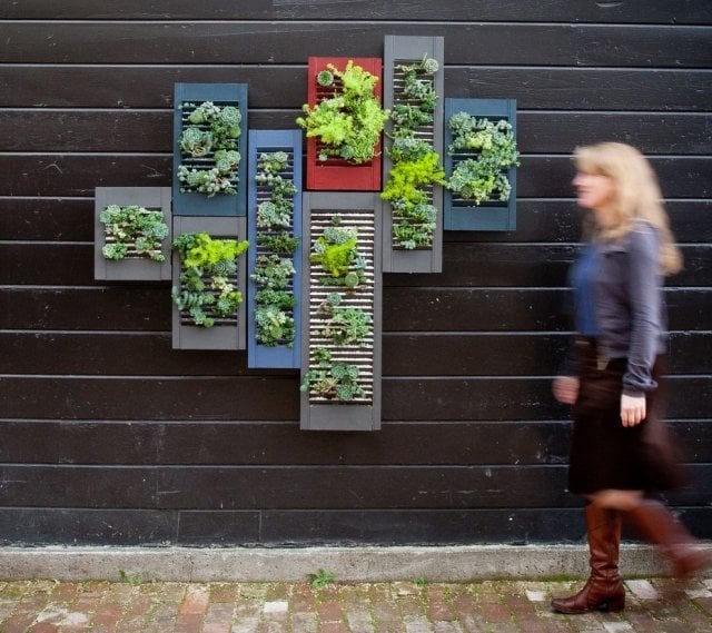 fassade begrünen-ideen vertikale pflanzkübel anordnung