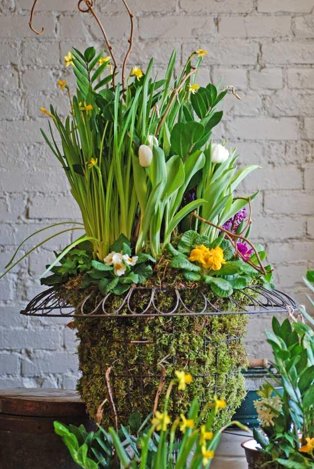 Frühlingsdeko-Ideen moos vase narzissen tulpen eisen rahmen