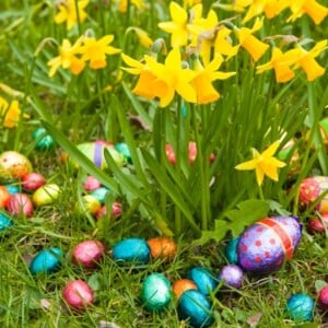 garten-deko-ideen-ostern-narzissen-schoko-eier