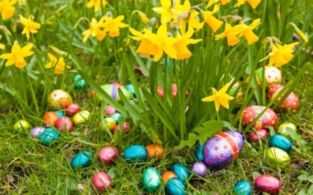 garten-deko-ideen-ostern-narzissen-schoko-eier