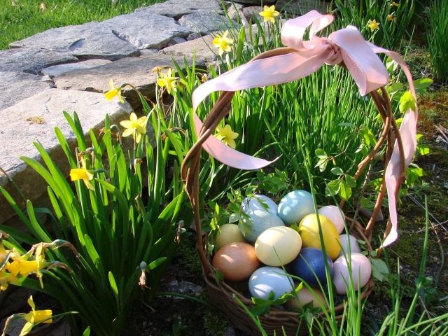 Garten Dekorationen zu Ostern weidenkorb bemalte eier narzisse