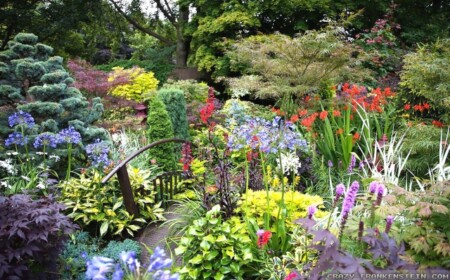 garten-neu-anlegen-sommer-kleine-brücke-viele-blumen-frisch-aromatisch-atmosphäre