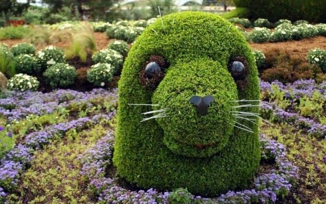 Garten Skulpturen zum Selbermachen buchsbaum tiere seehund