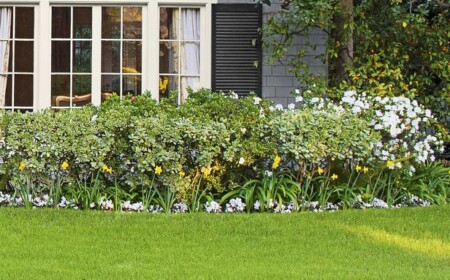 gartenbewasserung-blumen-rasen-tipps-zonen