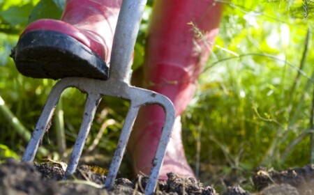 gartentipps-winter-fruehling-vorbereiten-gartenarbeit