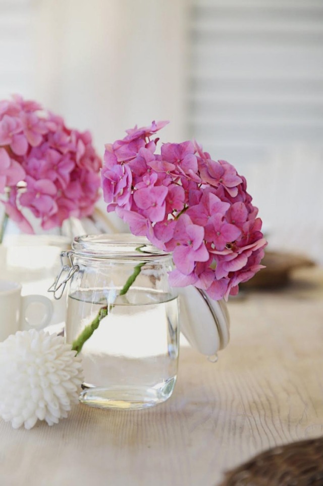 Hortensien im Garten pflege tipps rosa schnittblume marmeladenglas vase