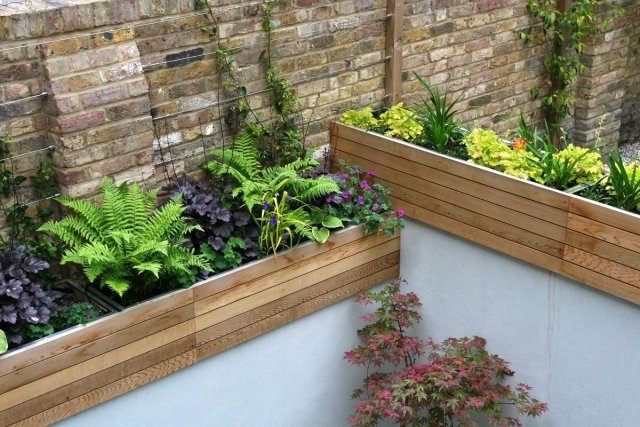 kleinen stadtgarten anlegen auf balkon tipps kübelpflanzen-wählen