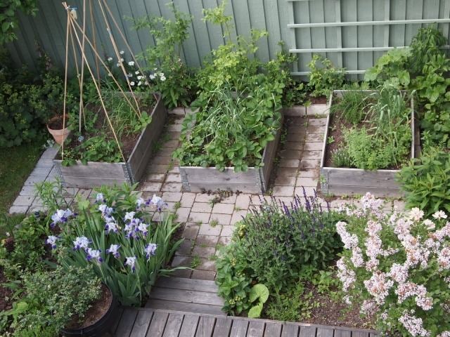 kleingarten gestalten hochbeete gemüse iris holz gartenzaun