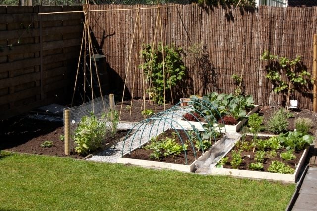 kleingarten gestalten ideen gemüse hochbeete sichtschutz matten