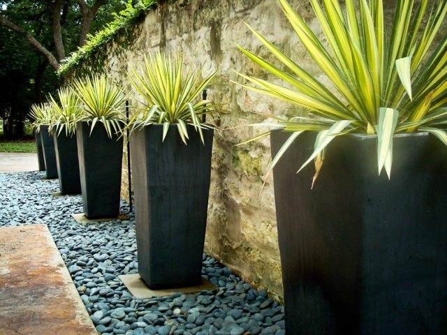 kübelpflanzen Garten Gestaltung-Terrasse mit Kies verlegen