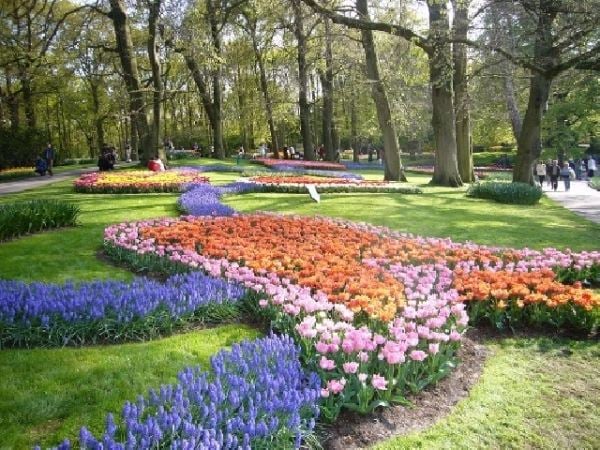 künstlerisch gestaltete-Blumen beete Tulpen-frühlingsfarben im garten