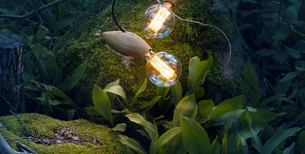  design pendelleuchte holz swarm leuchtkäfer ähnlich natur
