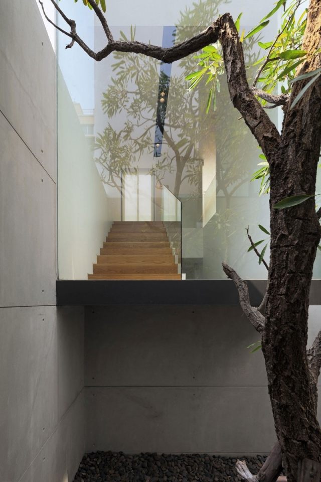 modernes einfamilienhaus bangkok innenhof glaswand baum beton platten