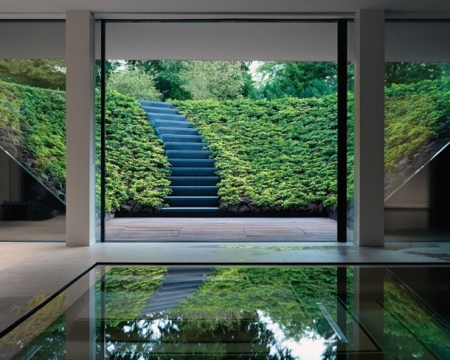 modernes einfamilienhaus glaswände natur einladen treppen