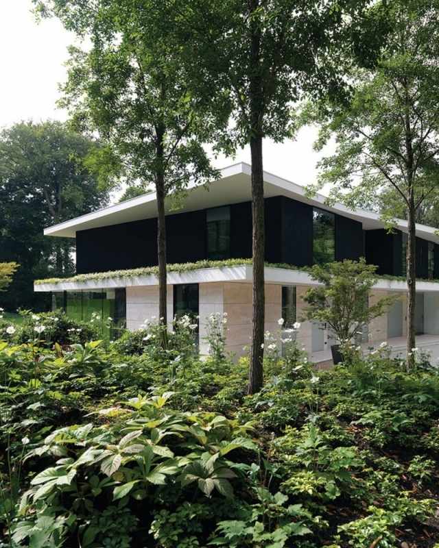 modernes einfamilienhaus niederlanden waldlandschaft offener grundriss