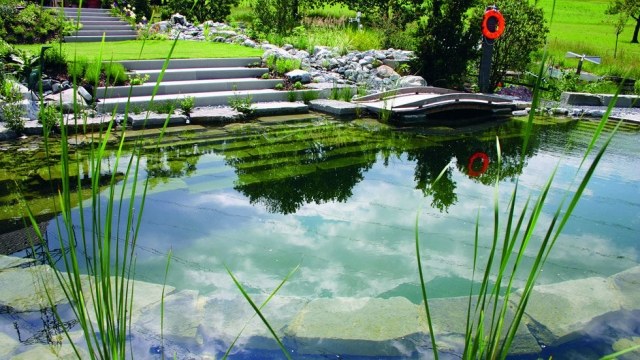 naturnaher pool filterung wasser steine graeser