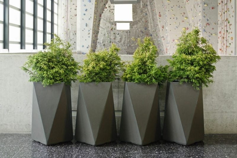 pflanzkübel aus beton grau abstrakt form immergruen halle