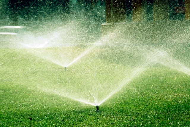 rasen sprinkler-tipps bei der bewässerung zierrasen pflegen