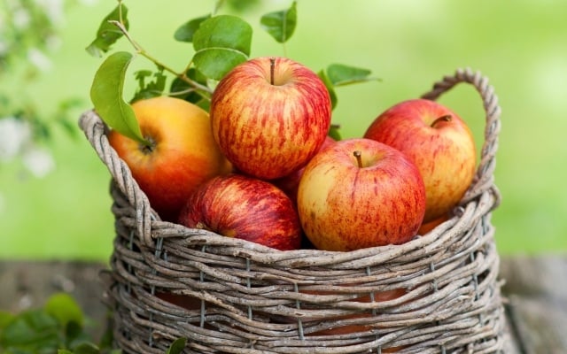rote äpfel geflochten korb tipps gesund essen 
