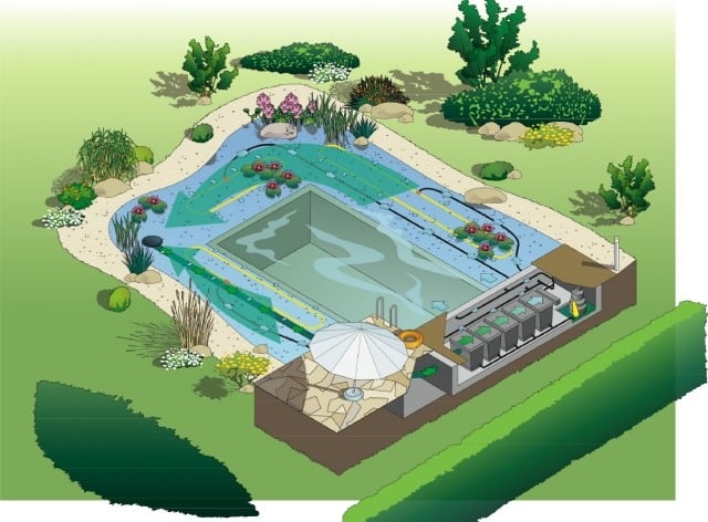 Schwimmteich im Garten anlegen bauen plan darstellung